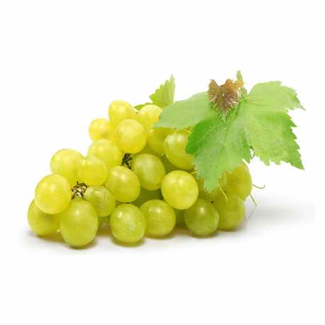 White Grapes Italia