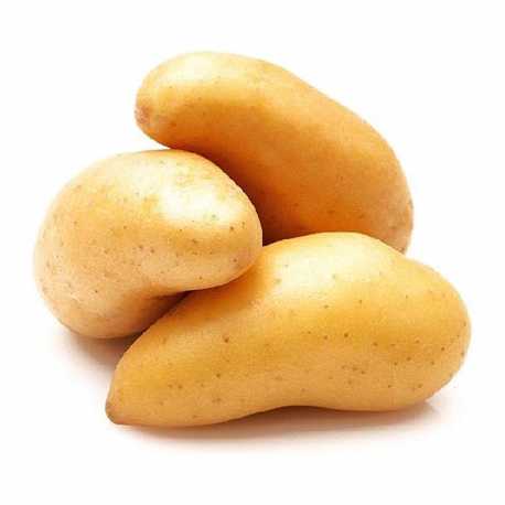 Potatoes "Ratte"
