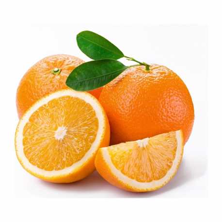 Oranges for Juice Florida