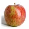 Pomme Fuji