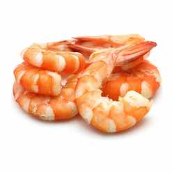 Censea Cooked Shrimps 31/40 Tail Off