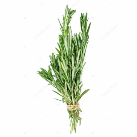 Rosemary