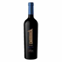 Antigal "UNO" Red Blend