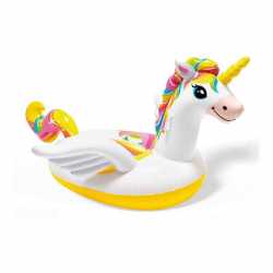 Magic Unicorn Buoy to Ride...