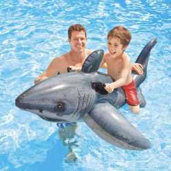 Bouée Grand requin a Chevaucher (sale)