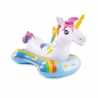 Bouée Licorne a Chevaucher (sale)
