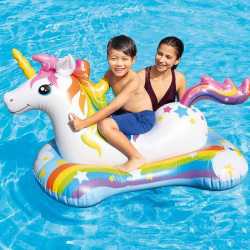 Bouée Licorne a Chevaucher (sale)